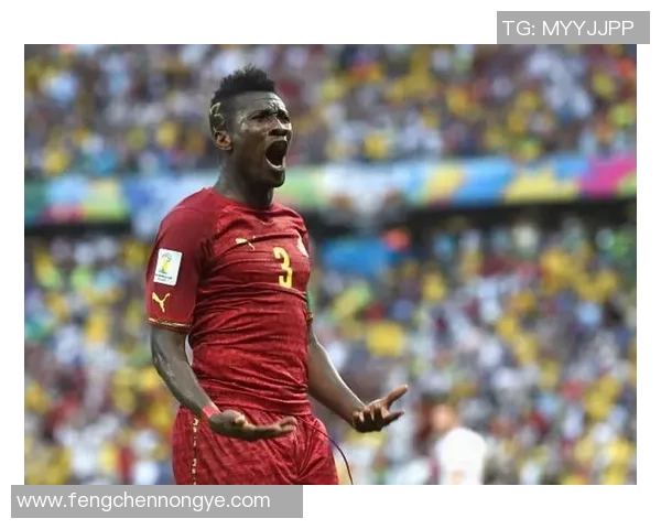 加纳足球队的知名球星及其在国际赛场上的表现和贡献