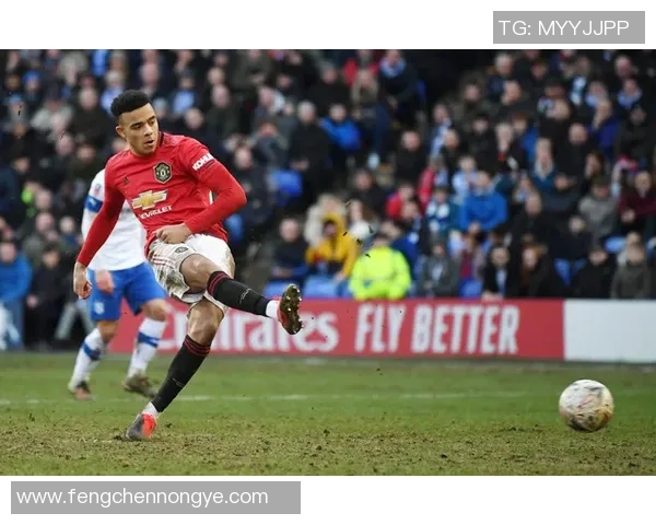 布格林足球球星逆袭之路从无名少年到绿茵传奇的奋斗历程