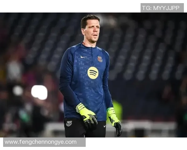 曾为戒烟奋斗的足球明星们的背后故事与人生转折