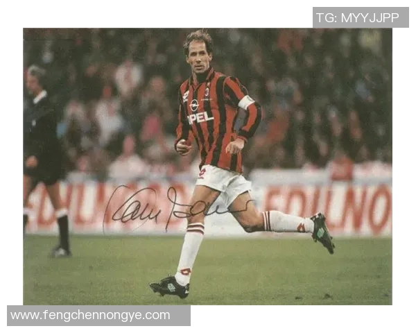 全球最受欢迎的九号足球球星及其传奇生涯回顾