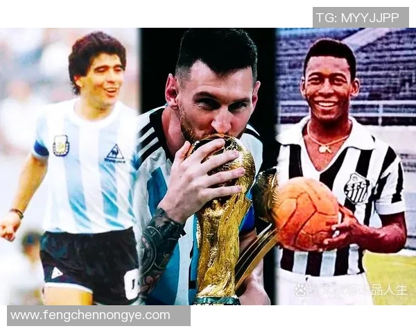 如何快速了解并认出足球球星提升你的足球文化素养